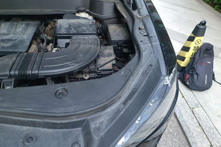 Used Haval F7 2019 1.5T Two-Wheel Drive i-Trend China V Emission Standard Engine Bay Left