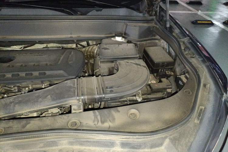 Used Haval F7 2019 2.0T Four-Wheel Drive iJoy China V Standard Engine Bay Left
