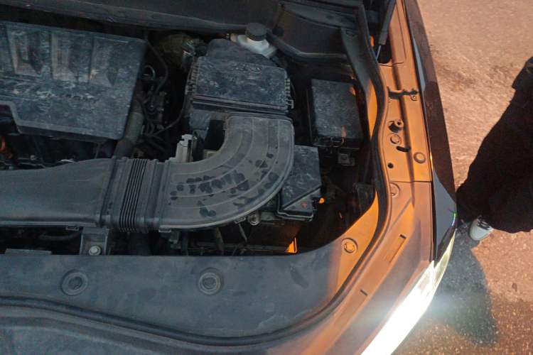 Used Haval F7 2019 1.5T Two-Wheel Drive i-Trend China V Emission Standard Engine Bay Left