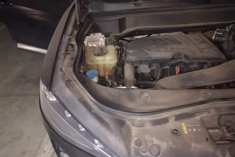 Used Haval F7 2019 1.5T Two-Wheel Drive i-Trend China V Emission Standard Engine Bay Right