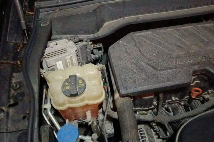 Used Haval F7 2019 1.5T Two-Wheel Drive i-Type China V Standard Engine Bay Right