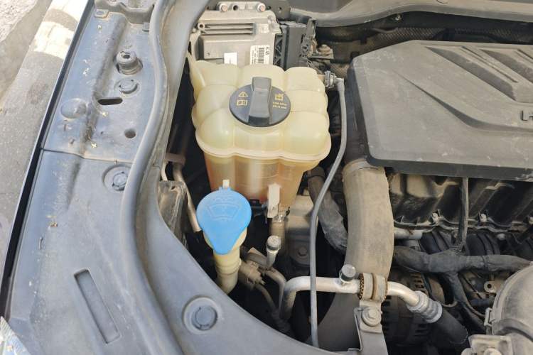 Used Haval F7 2019 1.5T Two-Wheel Drive i-Type China V Standard Engine Bay Right