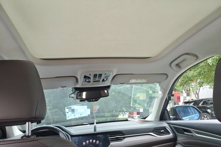 Used Haval F7 2019 2.0T Two-Wheel Drive i-Van China V standard Headliner