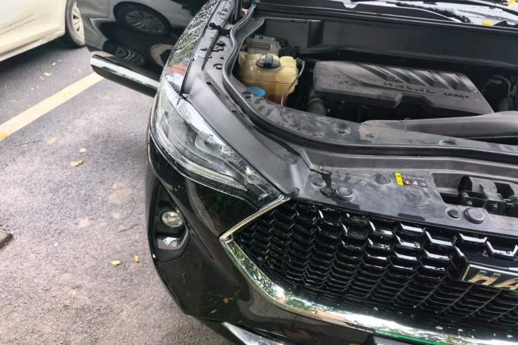Used Haval F7 2019 1.5T Two-Wheel Drive i-Trend China V Emission Standard Right Front Headlight