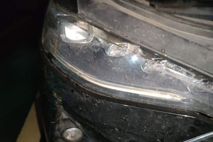 Used Haval F7 2019 1.5T Two-Wheel Drive i-Trend China V Emission Standard Right Front Headlight