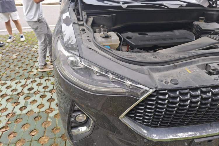Used Haval F7 2019 2.0T Two-Wheel Drive i-Van China V standard Right Front Headlight