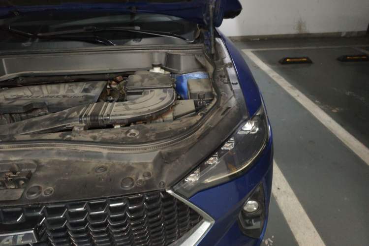 Used Haval F7 2019 1.5T Two-Wheel Drive i-Type China V Standard Engine Bay Left