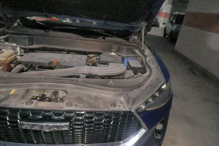 Used Haval F7 2019 1.5T Two-Wheel Drive i-Trend China VI Standard Engine Bay Left