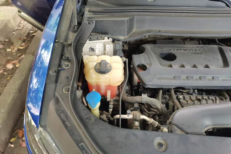 Used Haval F7 2019 2.0T Four-Wheel Drive iJoy China V Standard Engine Bay Right