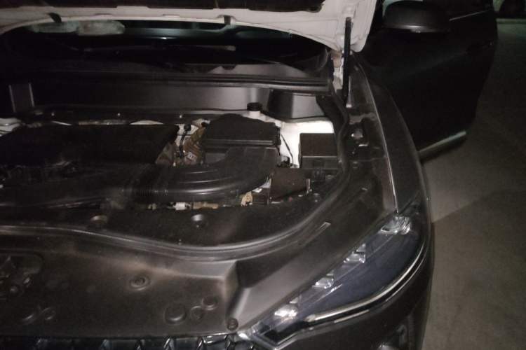 Used Haval F7 2019 1.5T Two-Wheel Drive i-Type China V Standard Engine Bay Left