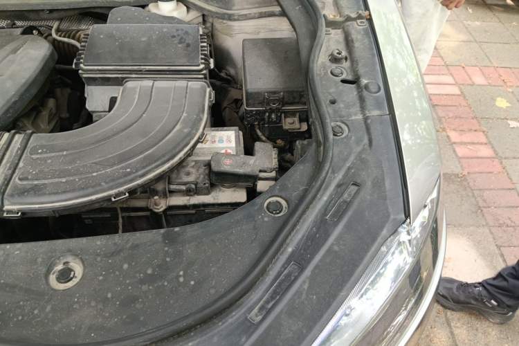 Used Haval F7 2019 2.0T Four-Wheel Drive iJoy China VI Standard Engine Bay Left