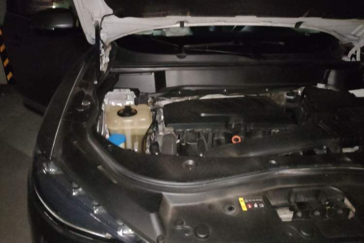 Used Haval F7 2019 1.5T Two-Wheel Drive i-Type China V Standard Engine Bay Right
