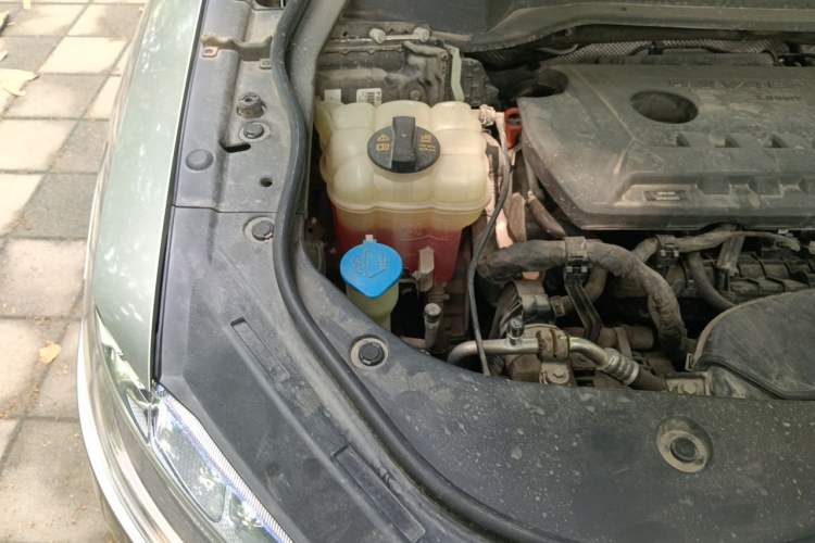 Used Haval F7 2019 2.0T Four-Wheel Drive iJoy China VI Standard Engine Bay Right