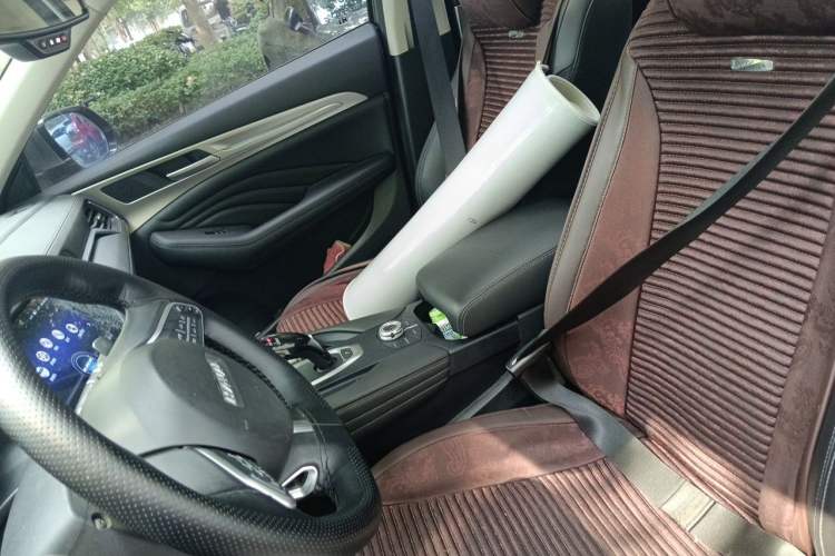 Used Haval F7 2019 2.0T Four-Wheel Drive iJoy China VI Standard Left Front Seat