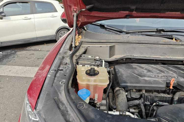 Used Haval F7 2019 1.5T Two-Wheel-Drive i-Type China VI Standard Engine Bay Right