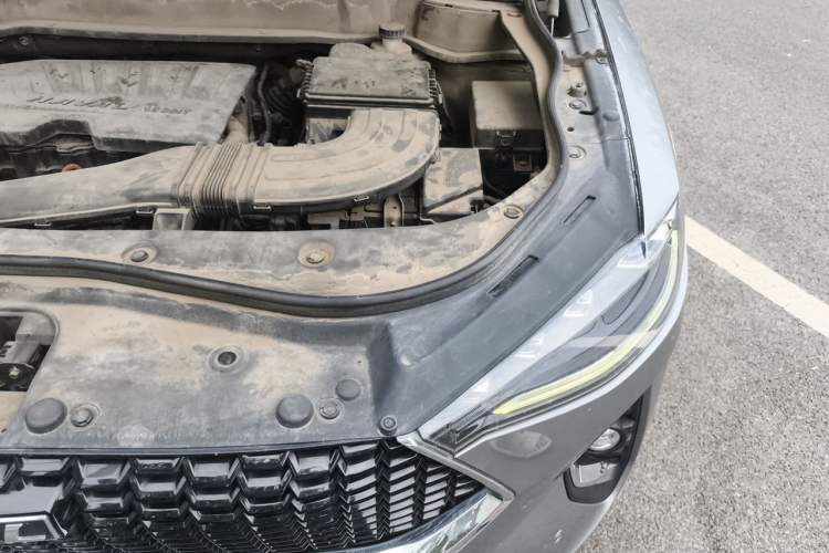 Used Haval F7 2019 1.5T Two-Wheel Drive i-Trend China V Emission Standard Engine Bay Left