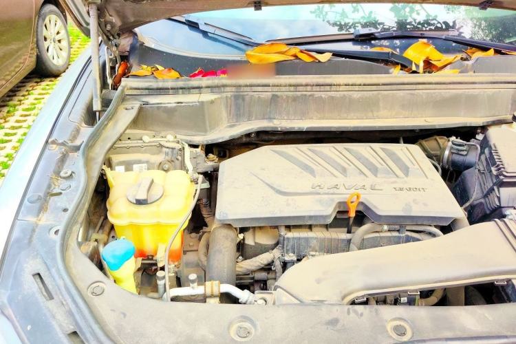 Used Haval F7 2019 1.5T Two-Wheel Drive i-Trend China VI Standard Engine Bay Right