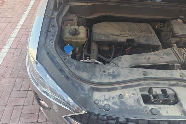 Used Haval F7 2019 1.5T Two-Wheel Drive i-Trend China V Emission Standard Engine Bay Right