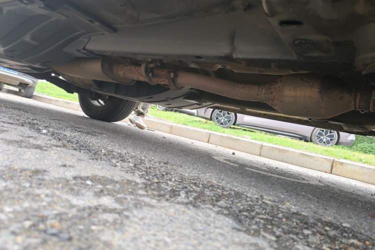 Used Haval F7 2019 1.5T Two-Wheel Drive i-Type China V Standard Chassis Front Right