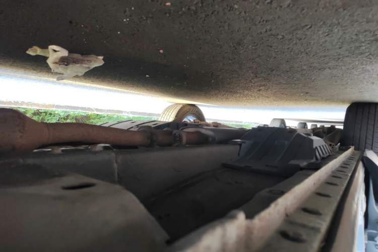Used Haval F7 2019 1.5T Two-Wheel Drive i-Type China V Standard Chassis Front Right