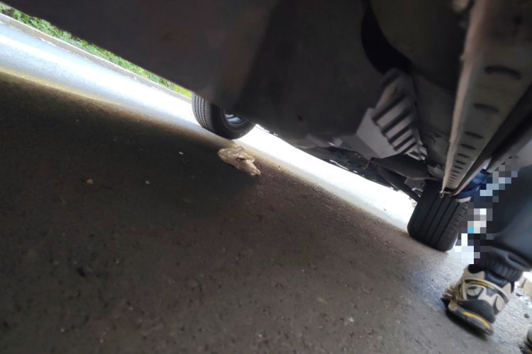 Used Haval F7 2019 1.5T Two-Wheel Drive i-Type China V Standard Chassis Rear Right