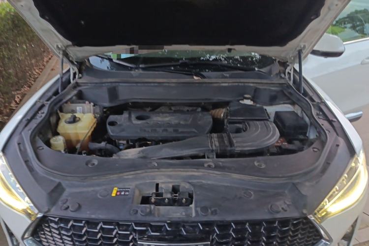 Used Haval F7 2019 2.0T Four-Wheel Drive iJoy China V Standard Engine Bay