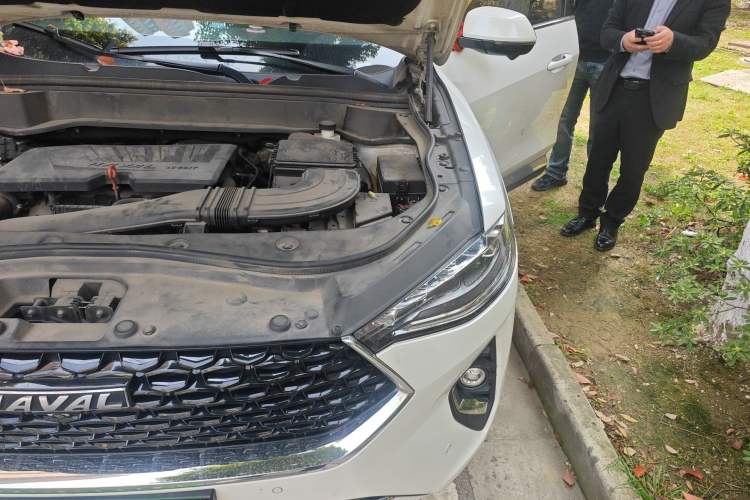 Used Haval F7 2019 1.5T Two-Wheel Drive i-Trend China V Emission Standard Engine Bay Left