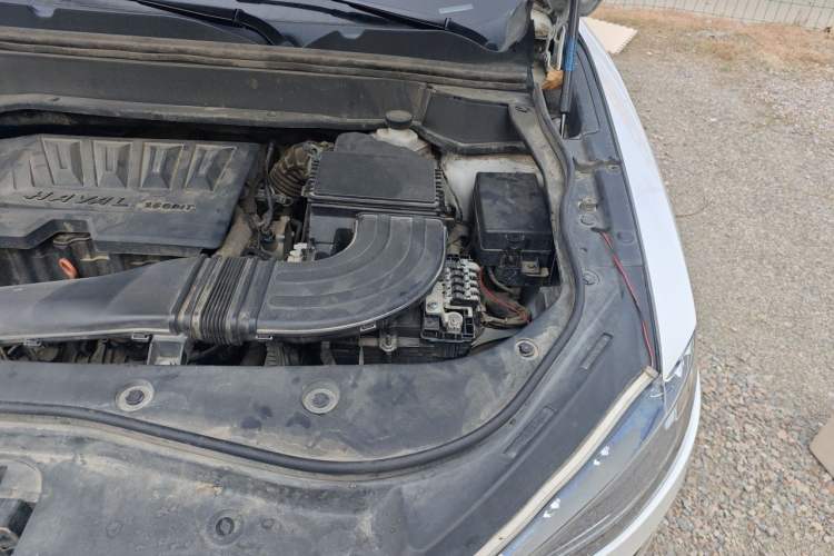 Used Haval F7 2019 1.5T Two-Wheel Drive i-Trend China V Emission Standard Engine Bay Left