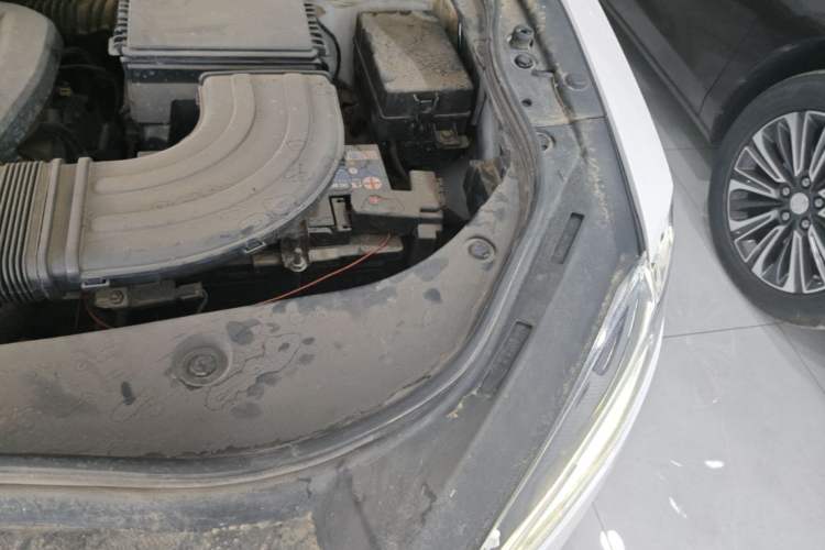 Used Haval F7 2019 2.0T Four-Wheel Drive iJoy China V Standard Engine Bay Left