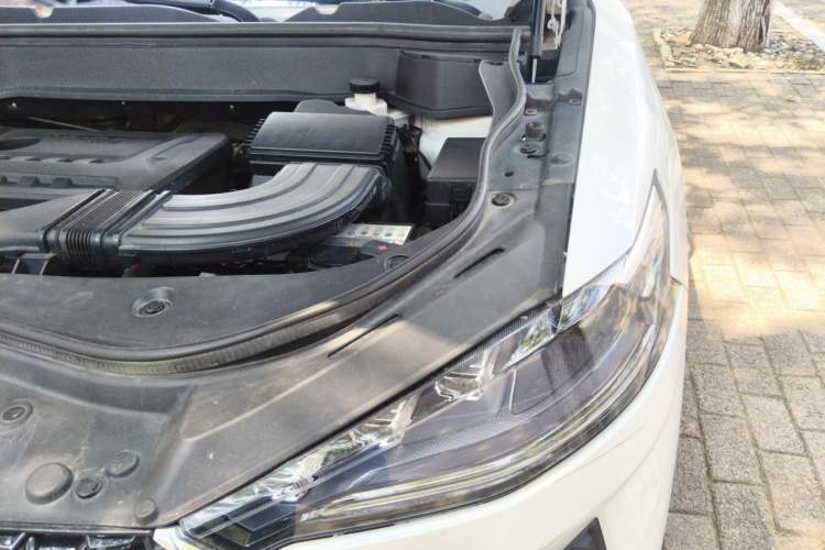 Used Haval F7 2019 2.0T Two-Wheel Drive i-Van China V standard Engine Bay Left