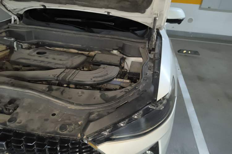 Used Haval F7 2019 2.0T Four-Wheel Drive iJoy China VI Standard Engine Bay Left