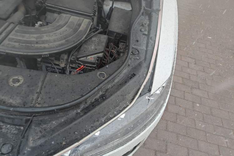 Used Haval F7 2019 1.5T Two-Wheel Drive i-Type China V Standard Engine Bay Left