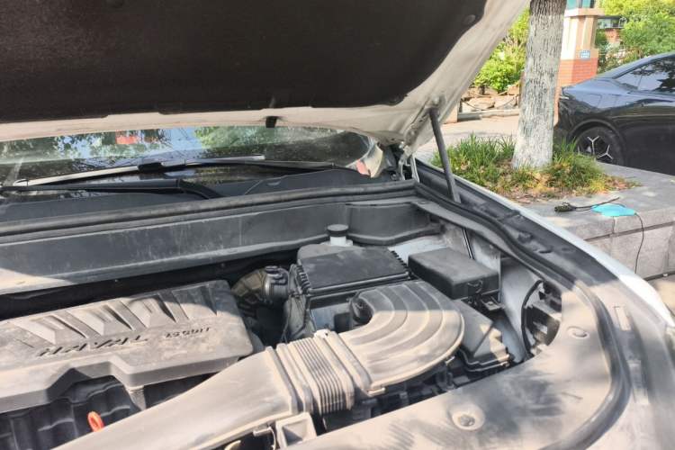Used Haval F7 2019 1.5T Two-Wheel Drive i-Trend China V Emission Standard Engine Bay Left