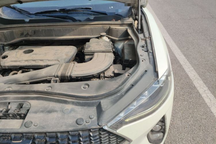 Used Haval F7 2019 2.0T Four-Wheel Drive iJoy China V Standard Engine Bay Left