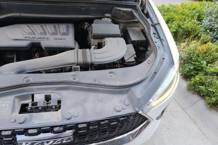 Used Haval F7 2019 1.5T Two-Wheel Drive i-Type China V Standard Engine Bay Left