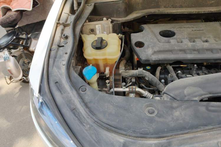 Used Haval F7 2019 2.0T Four-Wheel Drive iJoy China V Standard Engine Bay Right