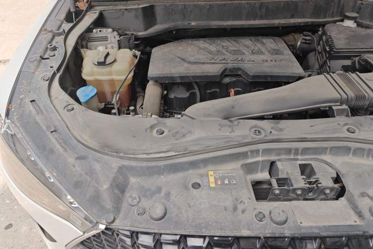 Used Haval F7 2019 1.5T Two-Wheel Drive i-Type China V Standard Engine Bay Right