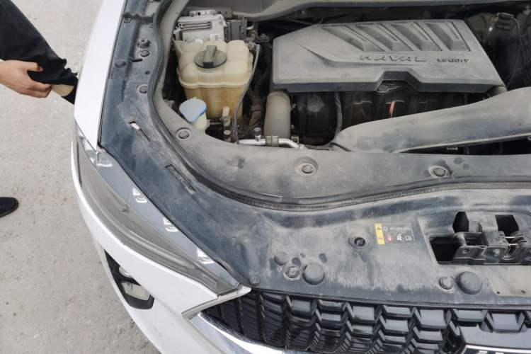 Used Haval F7 2019 1.5T Two-Wheel Drive i-Trend China V Emission Standard Engine Bay Right
