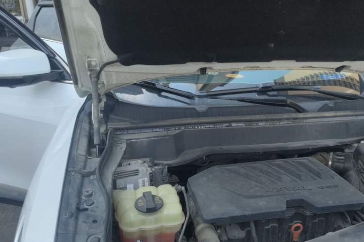 Used Haval F7 2019 1.5T Two-Wheel Drive i-Trend China V Emission Standard Engine Bay Right