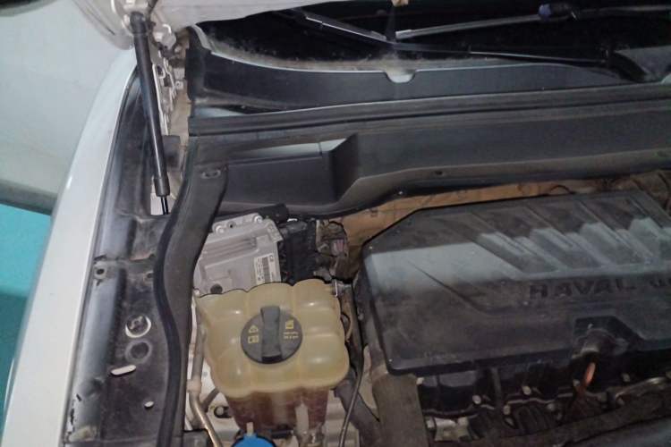 Used Haval F7 2019 1.5T Two-Wheel Drive i-Trend China V Emission Standard Engine Bay Right