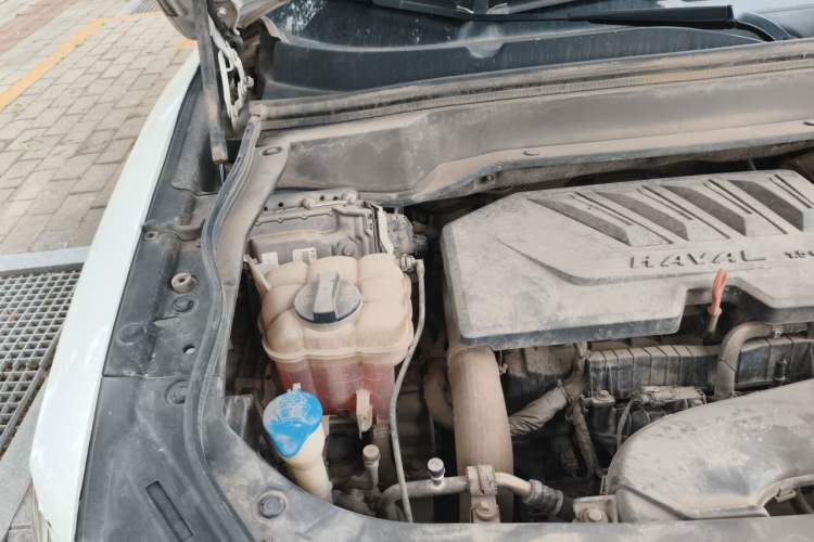 Used Haval F7 2019 1.5T Two-Wheel Drive i-Trend China VI Standard Engine Bay Right