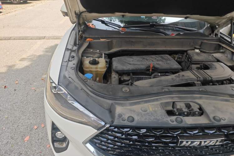 Used Haval F7 2019 1.5T Two-Wheel Drive i-Trend China V Emission Standard Engine Bay Right