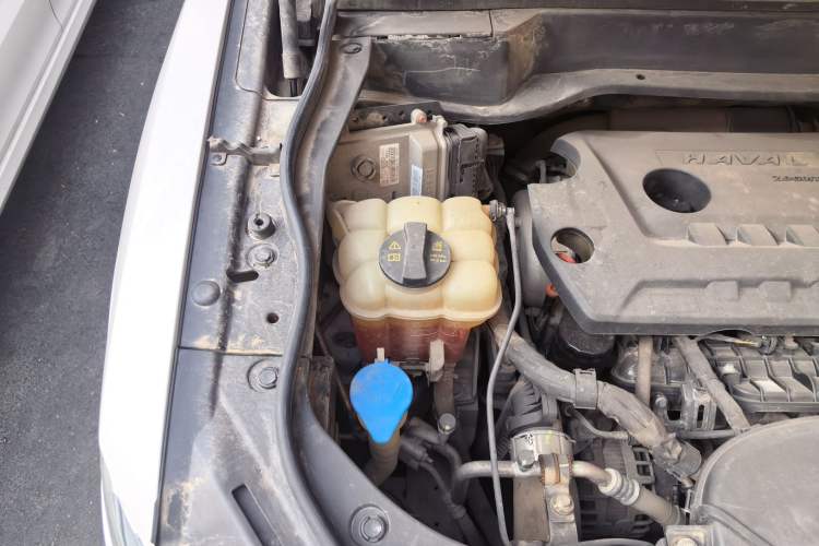 Used Haval F7 2019 2.0T Four-Wheel Drive iJoy China V Standard Engine Bay Right