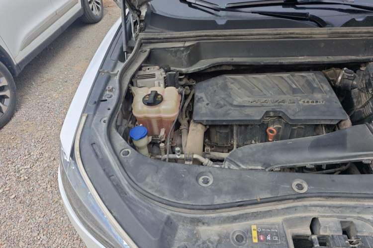 Used Haval F7 2019 1.5T Two-Wheel Drive i-Trend China V Emission Standard Engine Bay Right