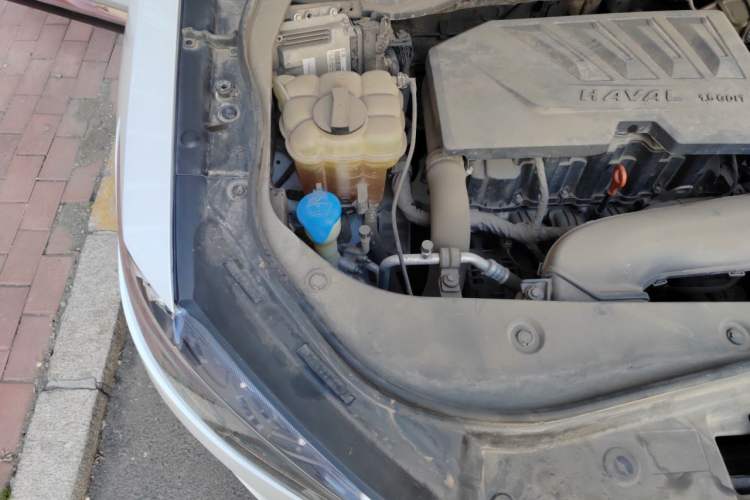 Used Haval F7 2019 1.5T Two-Wheel Drive i-Type China V Standard Engine Bay Right