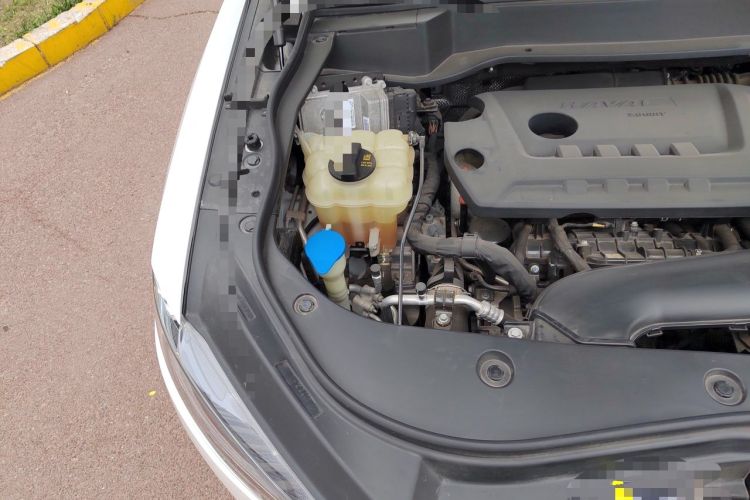 Used Haval F7 2019 2.0T Four-Wheel Drive iJoy China V Standard Engine Bay Right