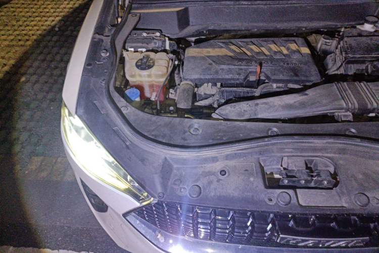 Used Haval F7 2019 1.5T Two-Wheel Drive i-Trend China VI Standard Engine Bay Right