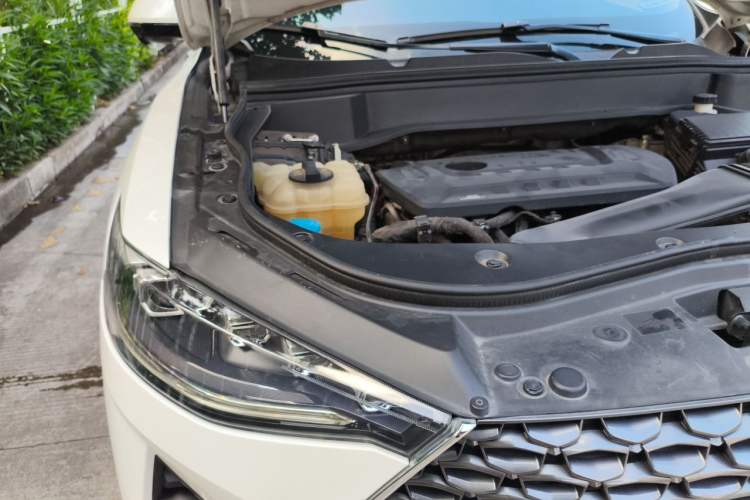 Used Haval F7 2019 2.0T Four-Wheel Drive iJoy China VI Standard Engine Bay Right