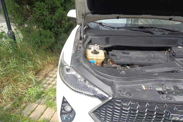 Used Haval F7 2019 2.0T Two-Wheel Drive i-Van China V standard Engine Bay Right