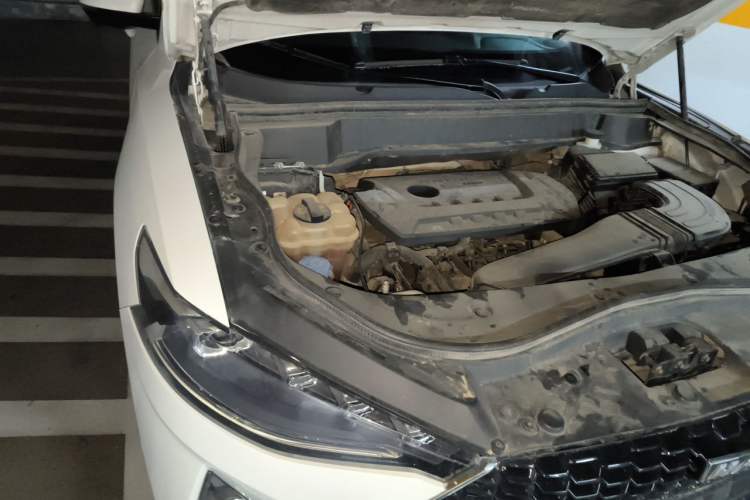 Used Haval F7 2019 2.0T Four-Wheel Drive iJoy China VI Standard Engine Bay Right